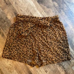 Leopard print high waisted shorts with belt.